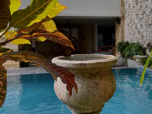 planters around pool